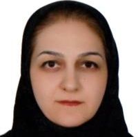 دکتر مه سان سیف الدین