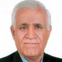 دکتر محمدحسن مرادی نژاد