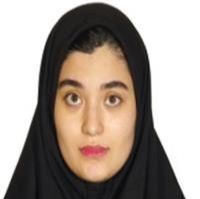سیده مینا حسینی