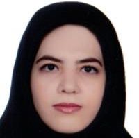 مائده سادات حسینی حبیب آبادی