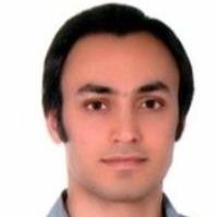 دکتر سیدحامد امامی العریضی