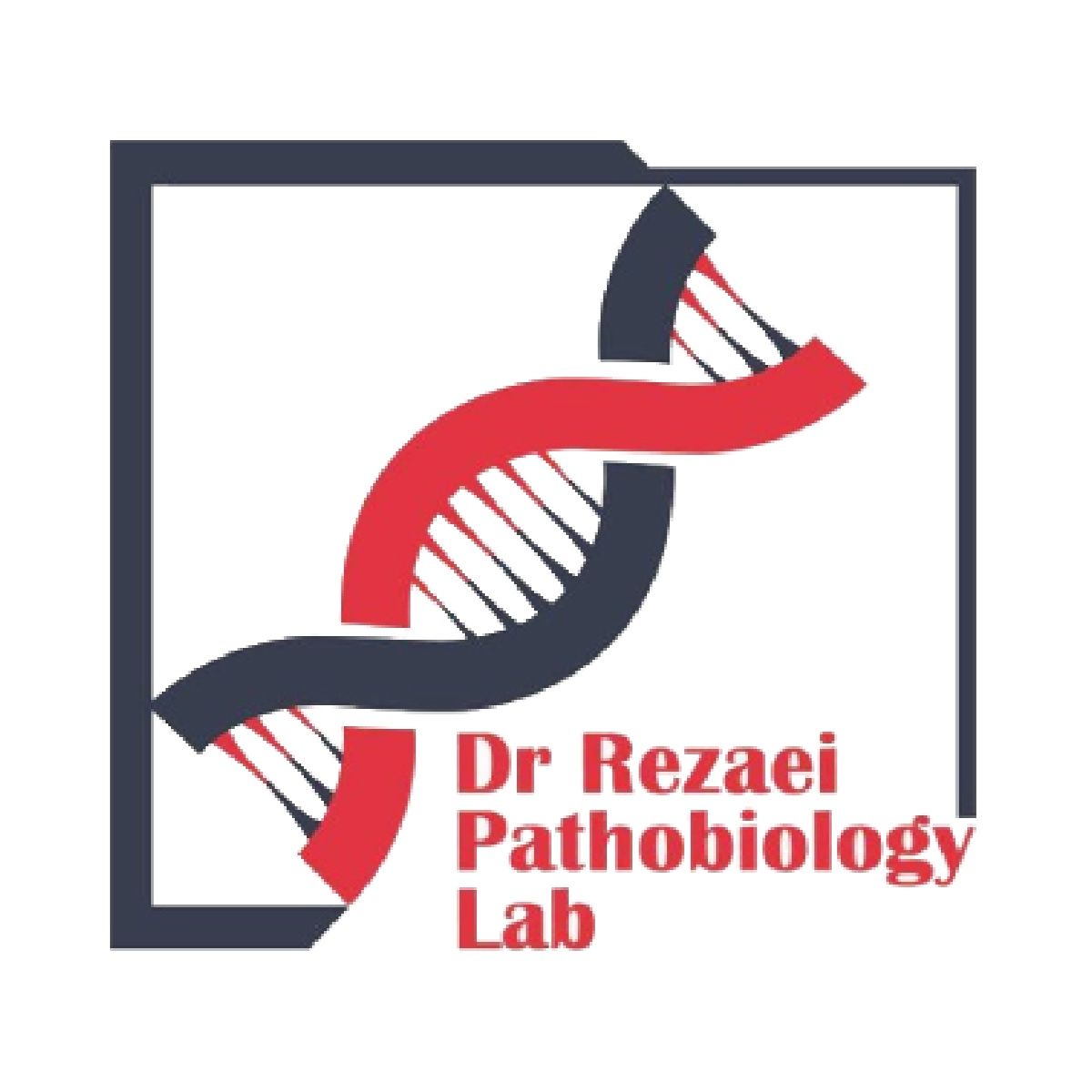آزمایشگاه رضایی مشهد
