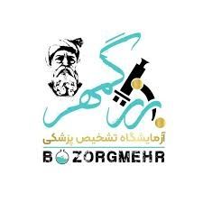 آزمایشگاه بزرگمهر کرمانشاه