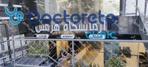 چکاپ عمومی زنان 15 تا 50 سال (خون، ادرار، مدفوع)🧪