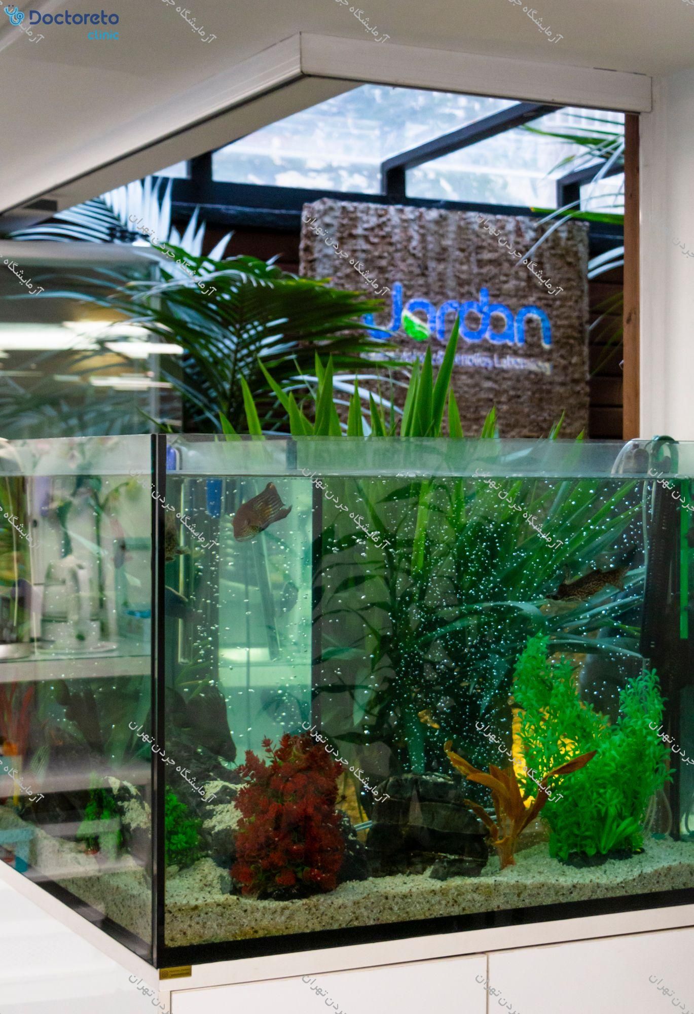 چکاپ عمومی زنان 15 تا 50 سال (خون، ادرار، مدفوع)🧪