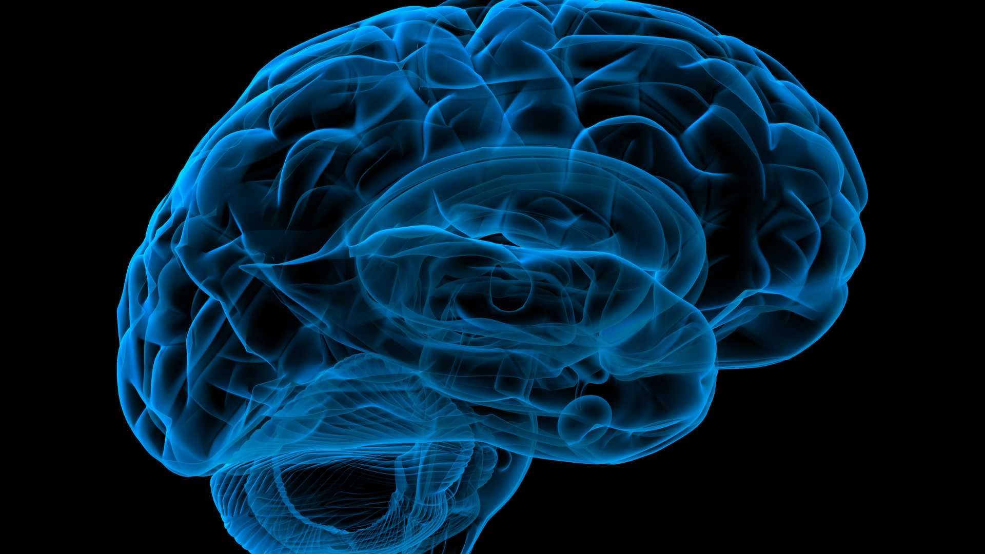 درمان اختلالات روان پزشکی با دستگاه Tdcs (وسواس، اختلالات خلقی، میگرن و..)(هر جلسه)