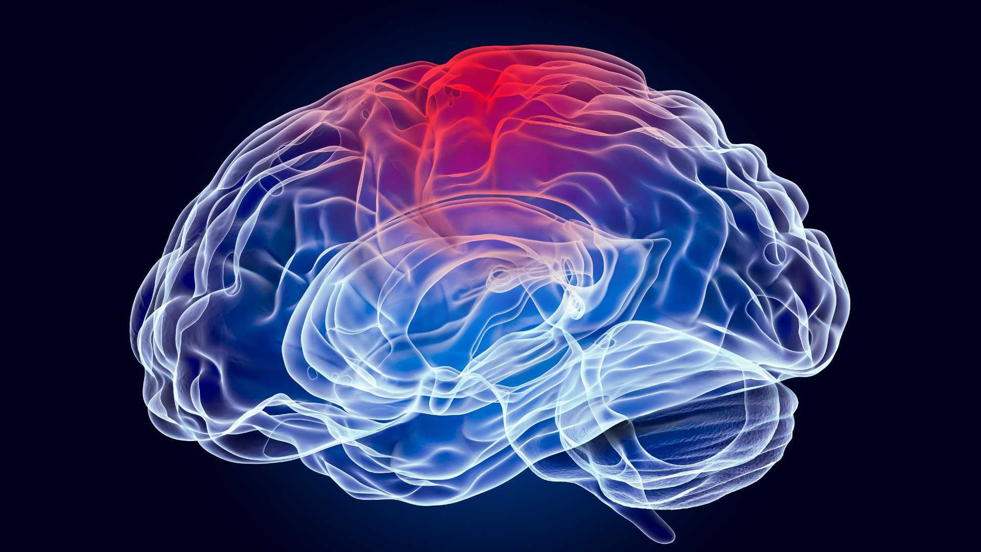 نوار مغزی EEG