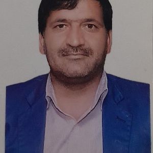 حمزه دانایی